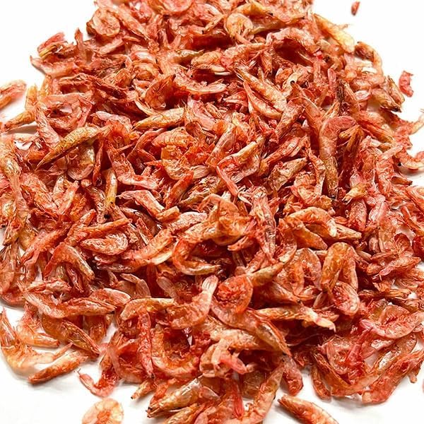 shrimp-chan様サイズ1 一枚 21V9YA1N3gL._UF1000,1000_QL80_.jpg